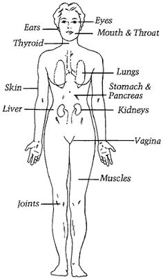Sjögrens Syndrome